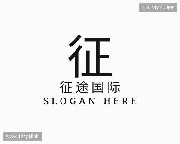 阐述征途国际